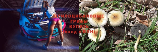 прущая мука Видное