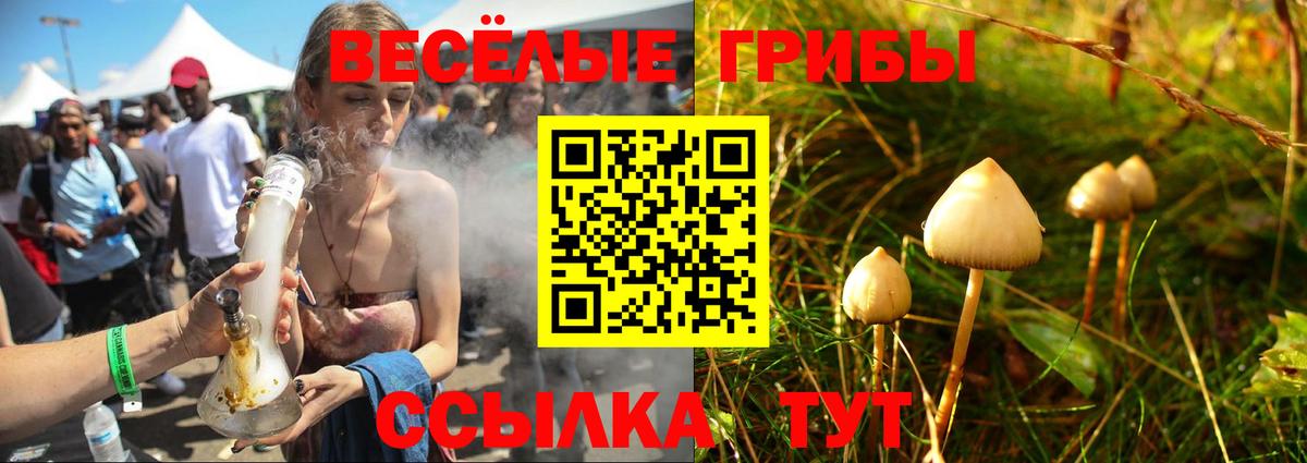 Великие Луки  хочу наркоту  Вход с VPN  Галлюциногенные грибы Cubensis 