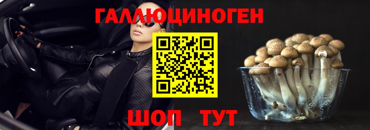 Псилоцибиновые грибы мухоморы  Великие Луки  Псилоцибиновые грибы MAGIC MUSHROOMS 